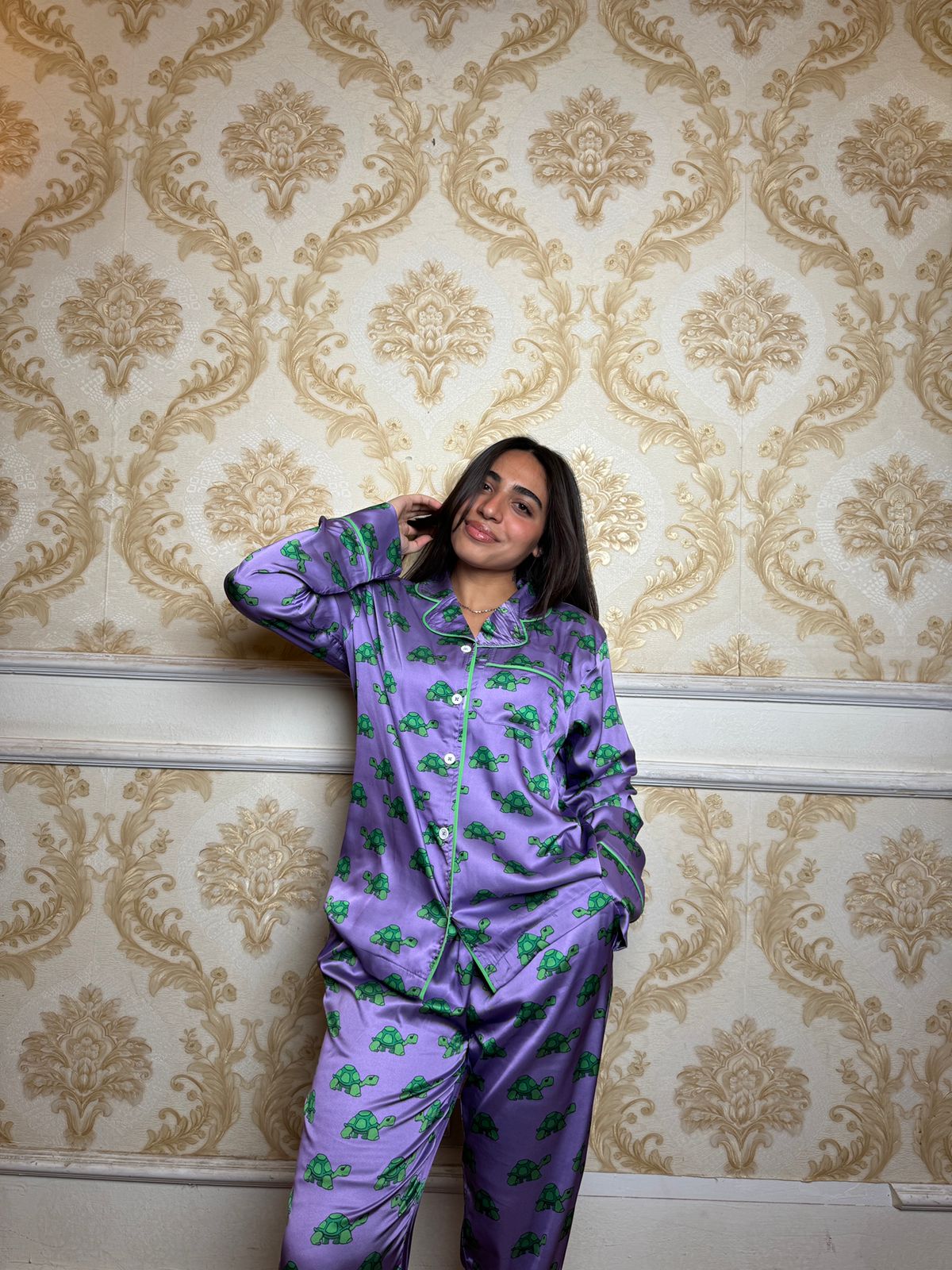 Captain Turtle - Image 3