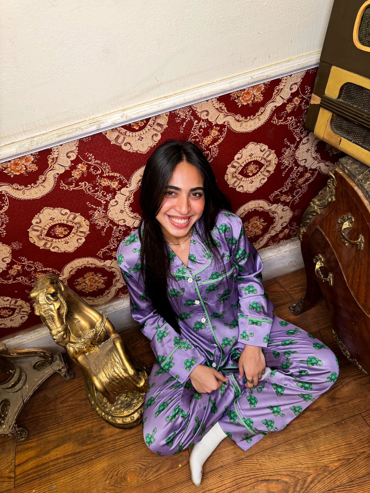 Captain Turtle - Image 2